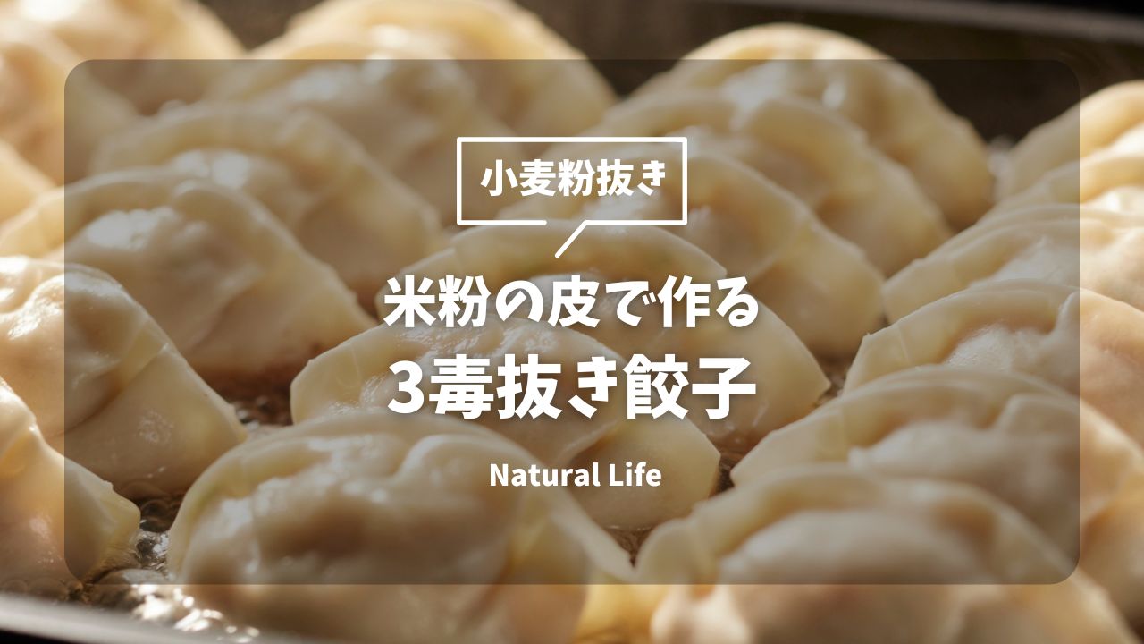 小麦粉抜き！餃子レシピ